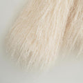 Beige Haze Jacket
