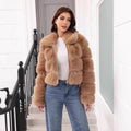 Arctic Allure