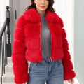 Arctic Allure