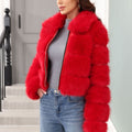 Arctic Allure