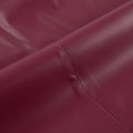 Burgundy Muse Skirt