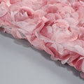 Rose Cloud