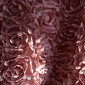 Rose Cloud