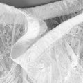 Ivory Illusion